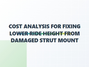 Understanding the Cost of Ride Height Correction