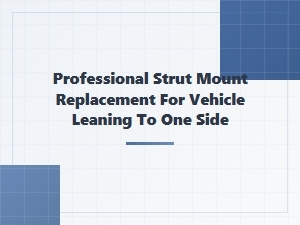 Professional Strut Mount Replacement for Vehicle Leaning